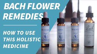 Bach Flower Remedies  How to use this holistic medicine for wellness [upl. by Leissam]