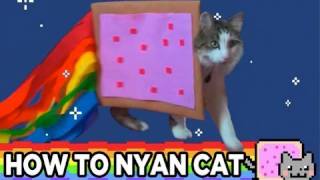 HOW TO NYAN CAT [upl. by Enattirb]