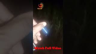 MZ M212 best mini torch under 150 ₹ metal body mz minitorch minitorch flashlight ytshorts [upl. by Jilli]