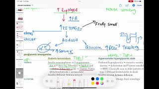 Diabetic ketoacidosis pathophysiology DKA endocrinology 65  First Aid USMLE Step 1 in UrduHindi [upl. by Gussi]