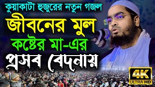 জীবনের মুল কষ্ট মায়ের প্রসব বেদনায়  হাফিজুর রহমানের সিদ্দিকী গজল  Hafizur Rahman Gojol [upl. by Aamsa]