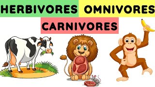 Herbivores carnivores and omnivores  Animals and their food  Eating habits of animals herbivores [upl. by Malachy]