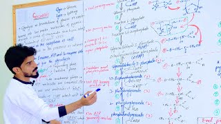 Glycolysis  Preparatory And Oxidative Phases  Class Biology  Bioenergetics  Chapter 11  Lec12 [upl. by Eniamurt]