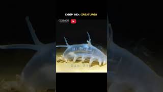 Deep Sea Creatures for Kids  Part 01 shorts shortvideo fish reels creature fish animals [upl. by Cleve]