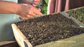 Session 2 GROW BIOINTENSIVE A Beginners Guide  Growing Seedlings in Flats [upl. by Rollecnahc51]