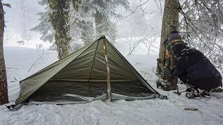 Encountering a Hungry Wolf in a Misty Forest  A Winter Camping Adventure in Deep Snow [upl. by Hanna]