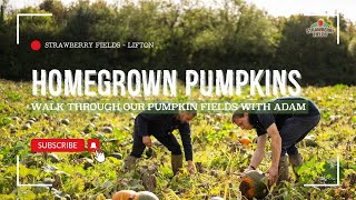 Exploring Home Grown Pumpkins at Strawberry Fields with Owner Adam 🌾🎃 [upl. by Noskcaj289]