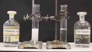 Comparing Strong and Weak Acids GCSE Chemistry [upl. by Nerret]