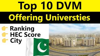 Top 10 DVM Offering Universities in Pakistan 2024 Best Doctor of Veterinary Medicine Programs [upl. by Akirdnwahs]