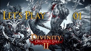 Divinity Original Sin II  Solo Playthrough Part 1 Act 2 Begins [upl. by Aisereht]