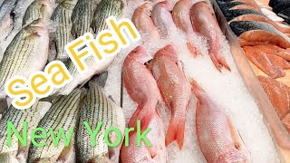 Sea Food Market New York USA সামুদ্রিক মাছচায়না বাজার নিউইয়র্ক আমেরিকা [upl. by Sheldon627]