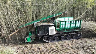 Prinoth Panther T16 Crawler Dumper Harvesting Willow w Special Builded Willow Harvester [upl. by Nrubyar]