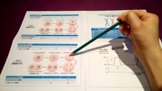 DSE Bio 細胞分裂 Cell Division 5 減數細胞分裂與染色體數目Meiotic Cell Division and Chromosome Number [upl. by Swanson]