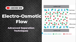 ElectroOsmotic Flow  Capillary Electrophoresis  Separation Techniques CHM603  UrduHindi Lecture [upl. by Gnim333]