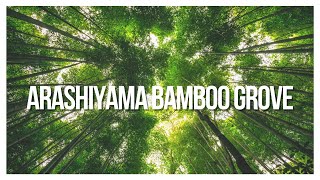 Kyotos Hidden Gem The Mesmerizing Arashiyama Bamboo Grove [upl. by Regan]