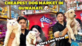 Cheapest Dog Market in Guwahati  Low Price Puppies 🐶 [upl. by Ariday]