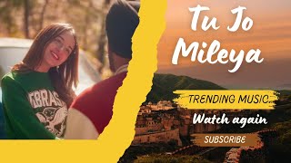 Tu Jo Mileya  Song  Juss  Mix Singh  Lyrics  Punjabi [upl. by Tingey387]