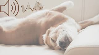 Sound to make your Dog Cuddle and Sleep With you [upl. by Treve]