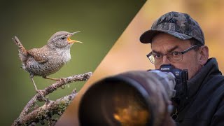 BIRD PHOTOGRAPHY VLOG  THE ELUSIVE WINTER WREN  Canon R5  Behind the scenes bird photography [upl. by Kev360]