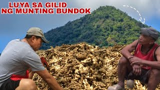 LUYA SA MUNTING BUNDOK  Biyaherong Batangueño [upl. by Anirat]