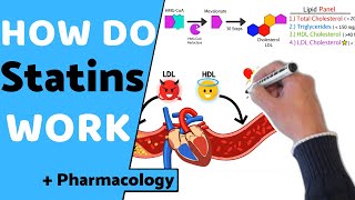 How do Statins Work  Pharmacology [upl. by Elamrej689]