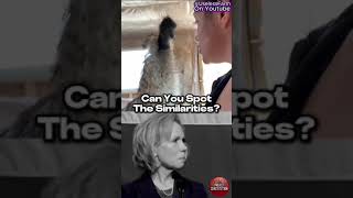 Who says politics isnt wild Gwen Walz – theres a Karenesque emu running amok in our backyard [upl. by Lenaj]