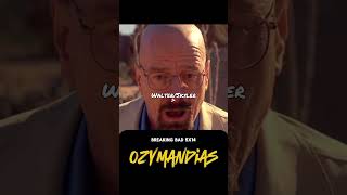 The View From Halfway Down vs Ozymandias breakingbad vs bojackhorseman edit vs tv tvshow [upl. by Eiramannod34]