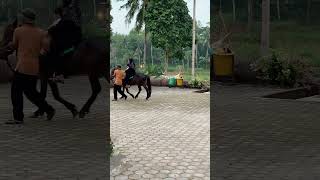 Riding horse bareng tante Linda 🏇 [upl. by Rickert]