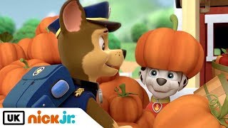 Paw Patrol  Best Friends  Chase amp Marshall  Nick Jr UK [upl. by Senga678]