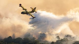 Emergenza incendi cosa fa lUnione europea contro la piaga dellestate [upl. by Neerbas]