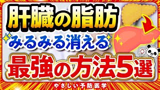 【最新】肝臓の脂肪をごっそり落とす方法5選（脂肪肝 脂質異常症） [upl. by Klute617]