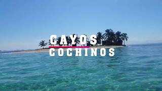 Viaje A Los Cayos Cochinos 2017 [upl. by Enorel]