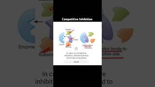 Competitive inhibition biology science neet education enzymes apbiology [upl. by Ching588]