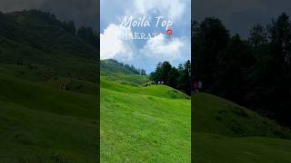 Moila Top  Hidden Gem of Chakrata Dehradun love pahad travel [upl. by Kcered]