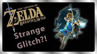 BotW Trial of the Sword Glitch Video [upl. by Anadal]