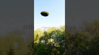 EN YUCATÁN INVENTAMOS LOS PLATILLOS VOLADORES [upl. by Ojela]