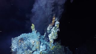 What are hydrothermal vents [upl. by Betthezel272]