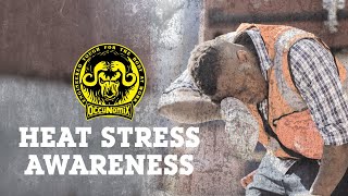 Heat Stress Awareness Video [upl. by Nanyk791]