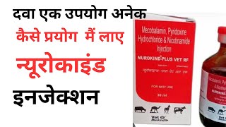 Detail information about nurokind plus injection for animals like cow and other [upl. by Brittani]