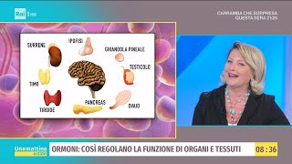 Ormoni così regolano la funzione di organi e tessuti  Unomattina estate  27072021 [upl. by Nomyad]