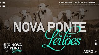 NOVA PONTE LEILÕES AO VIVO  NOVA PONTE MG [upl. by Charmion]