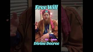 Free will vs Predestination inspirational shorts Theology Islamic islamicvideo [upl. by Ninnetta]