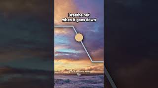 Breathing Exercise for Anxiety Box Breathing breathingforanxiety breathing boxbreathing [upl. by Taam517]