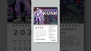 CANNABIS SORTEN KALENDER 2025 🍃 – JETZT 20 RABATT SICHERN 💜 [upl. by Nettie364]