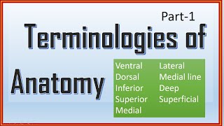 Terminology of Anatomy Part1 [upl. by Atsyrhc]