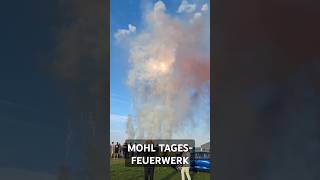 TagesFeuerwerk fireworks feuerwerk experiment vuurwerk silvester bigboom explosion shorts [upl. by Ailisab938]