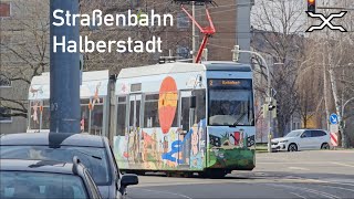 Straßenbahn Halberstadt  Tram  2024  Trams in Germany [upl. by Atteiram]