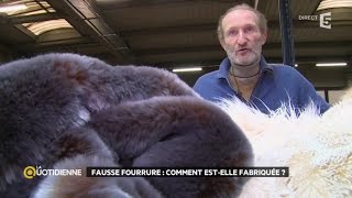 Fausse fourrure comment estelle fabriquée [upl. by Barabas56]