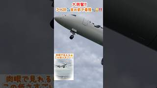 🟢JAIR ✈️至近距離で着陸🛬‼️超低空飛行‼️待機中の飛行機も居た😲飛行機 aviation 着陸態勢 着陸 伊丹空港 低空飛行 飛行機音 aircraft shorts [upl. by Chrisy]