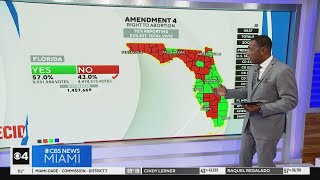 Florida rejects Amendments 3 and 4 in 2024 election [upl. by Rosy]